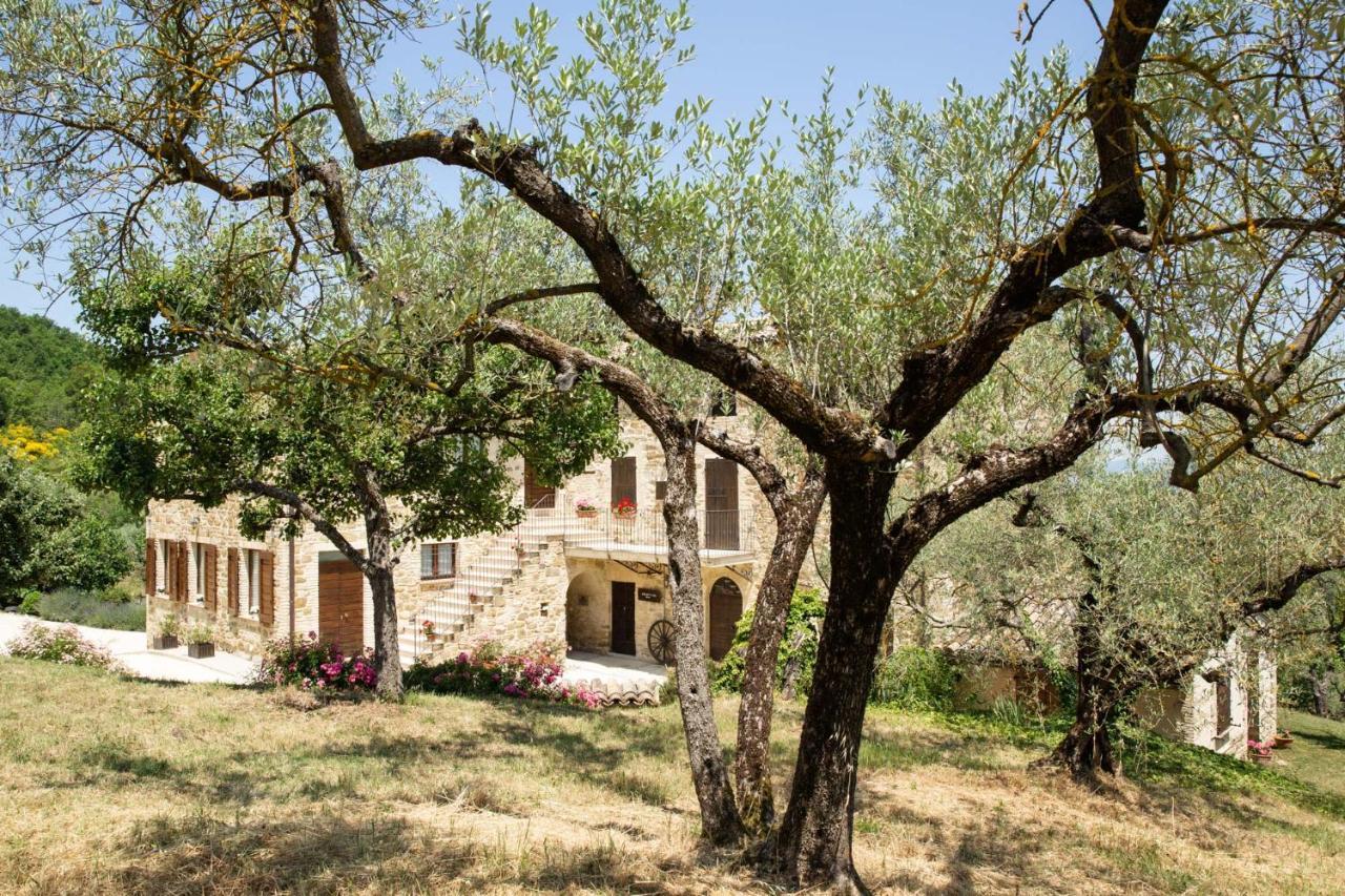 Villa Colle Di Rocco Limigiano Exterior photo